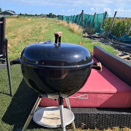 Yurt-tent Campo de lujo *