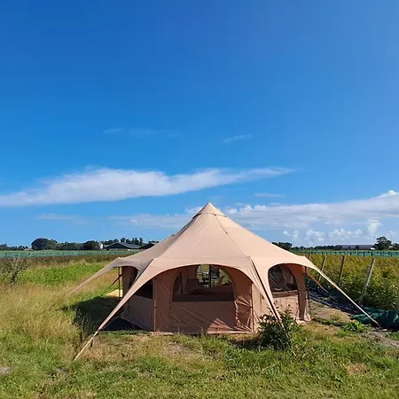 Yurt-tent Met Uitzicht *