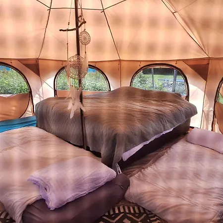 Yurt-tent Met Uitzicht